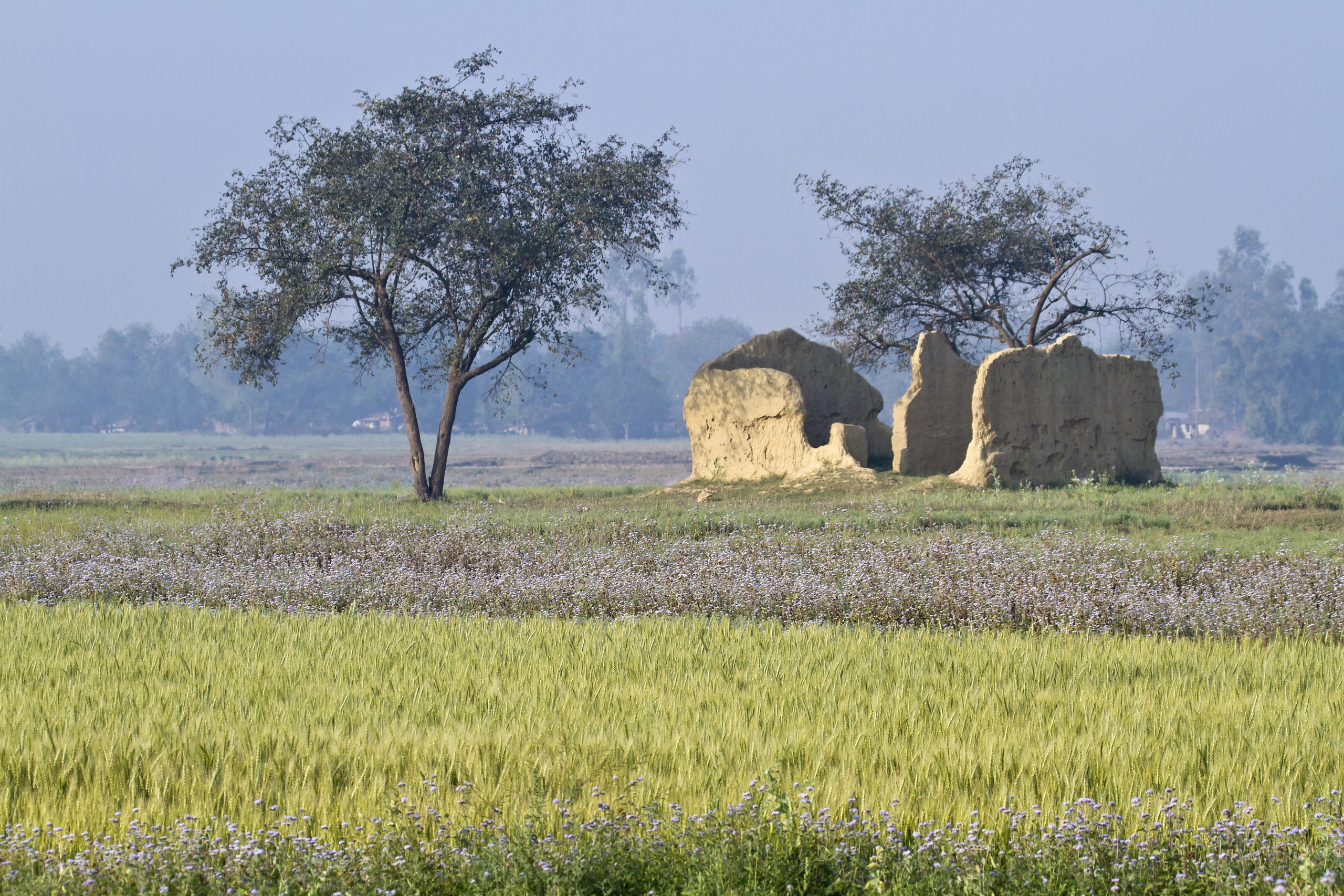 How do we make conservation and anti-poaching beneficial for the local communities in Bardia and motivate them to become strong partners in conservation?